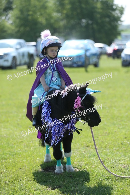 20250427-1868 - Class 5 - Fancy Dress
