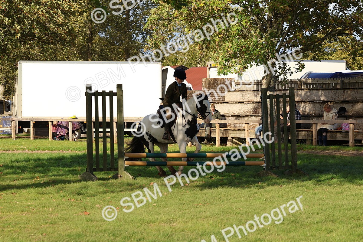 SBM_52580 - S13 - Pony Club Pony