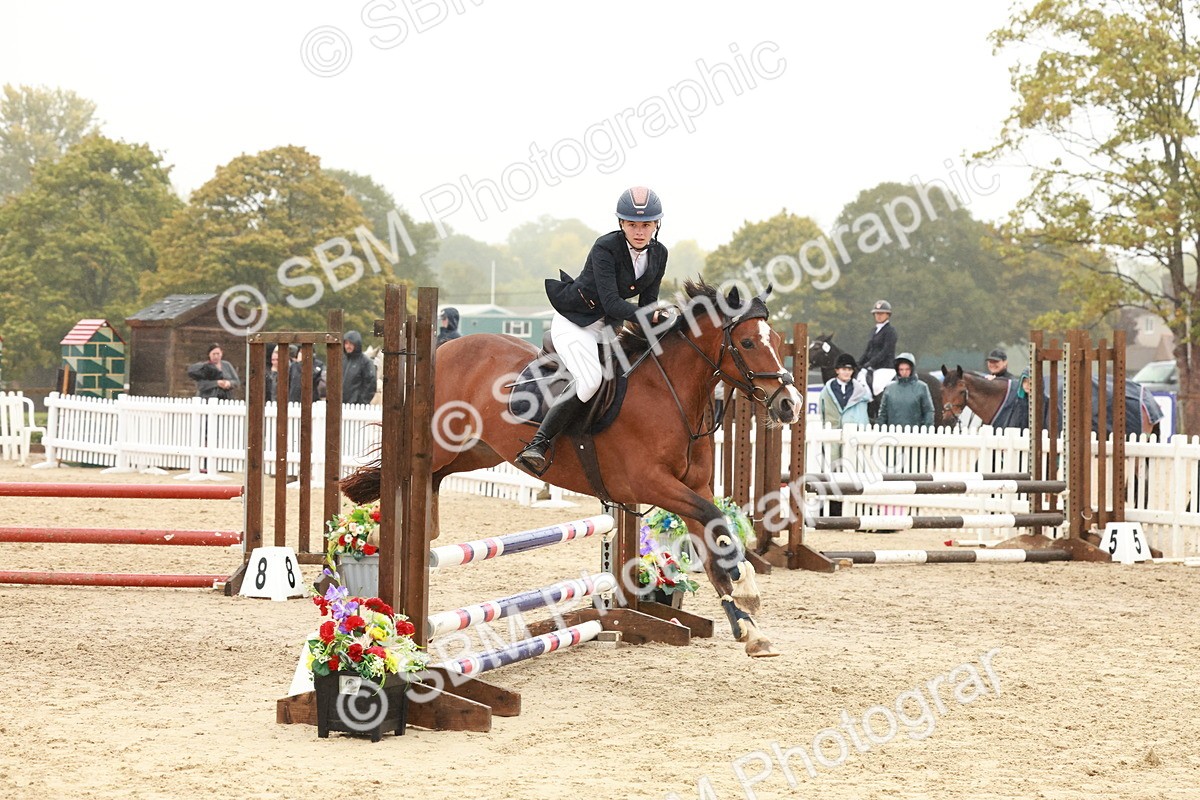 SBM_73377 - Supreme Championship Junior Pony 60cm & 65cm
