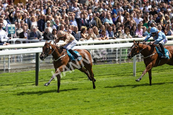 150723-Race 2-Nymphadora-8775 - Race 2 2.35pm John Smith's City Walls Stakes