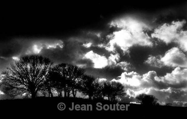 IR12 - Infra Red