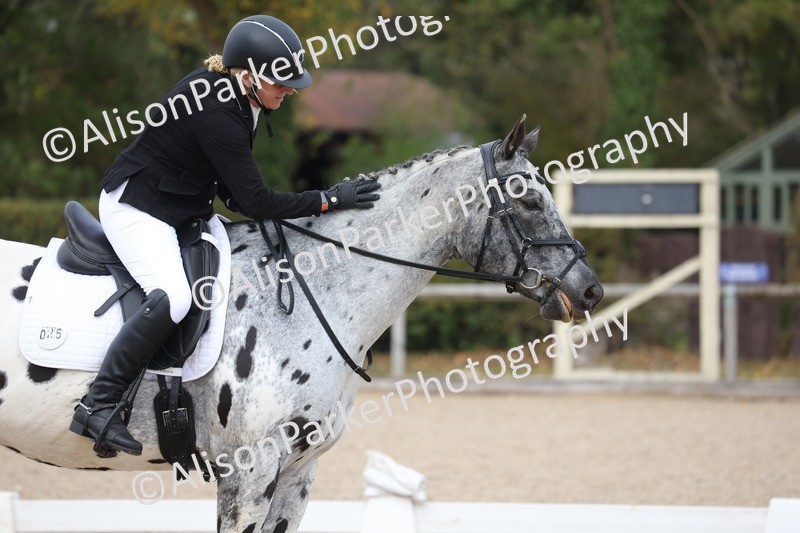 20261010-0720 - Class 6 - Novice 2