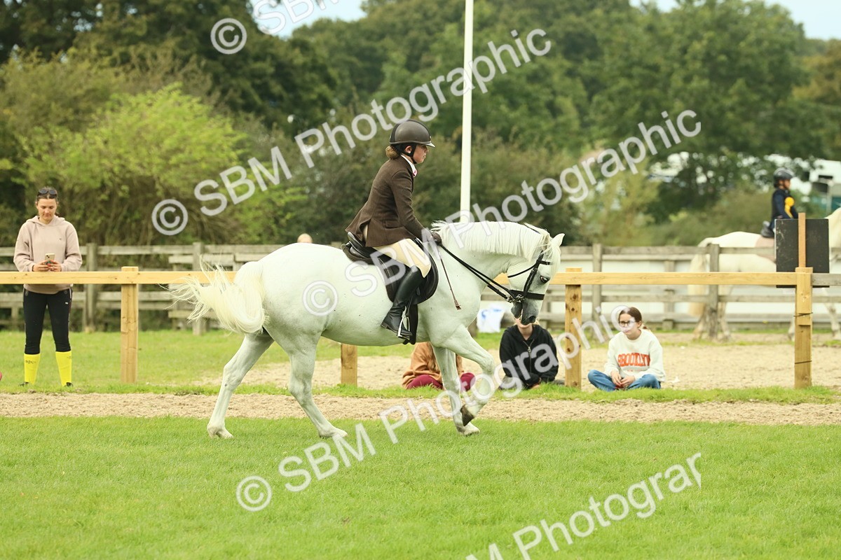SBM_71974 - S60 - Mountain & Moorland Ridden Large Breeds