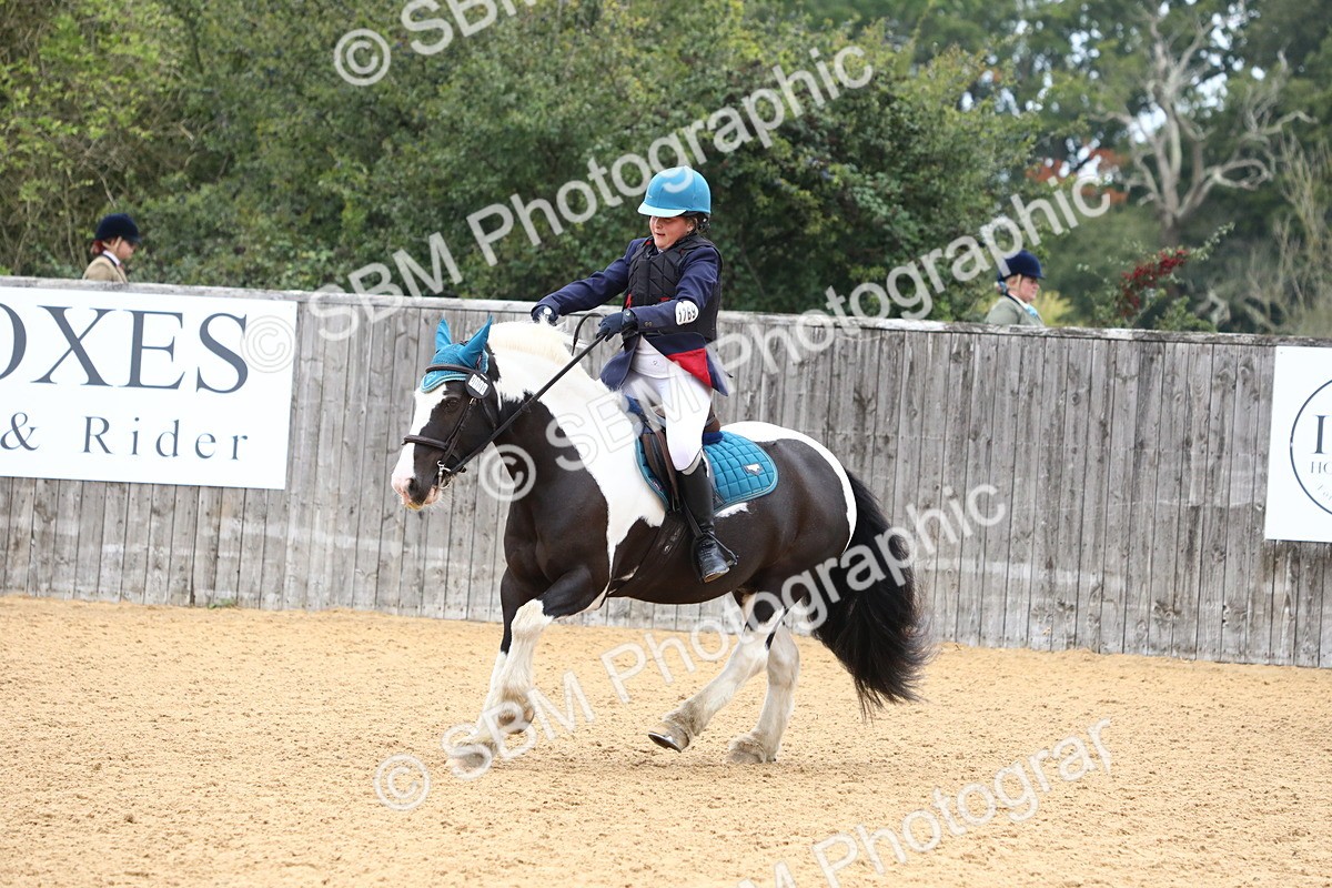 SBM_60206 - J63 - Junior Pony 50cm Championship