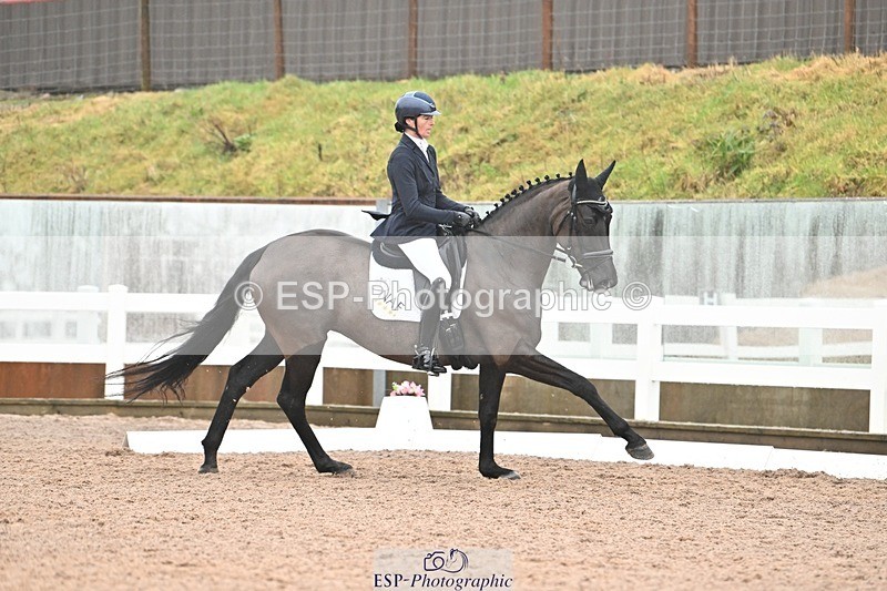 250215-115921-03311 - 165-Elder.Klatzko-Dynasty.Hit