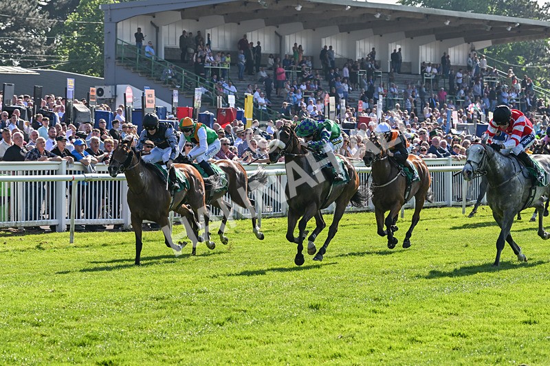 180524-Race 5-Tinto-9692 - Race 5