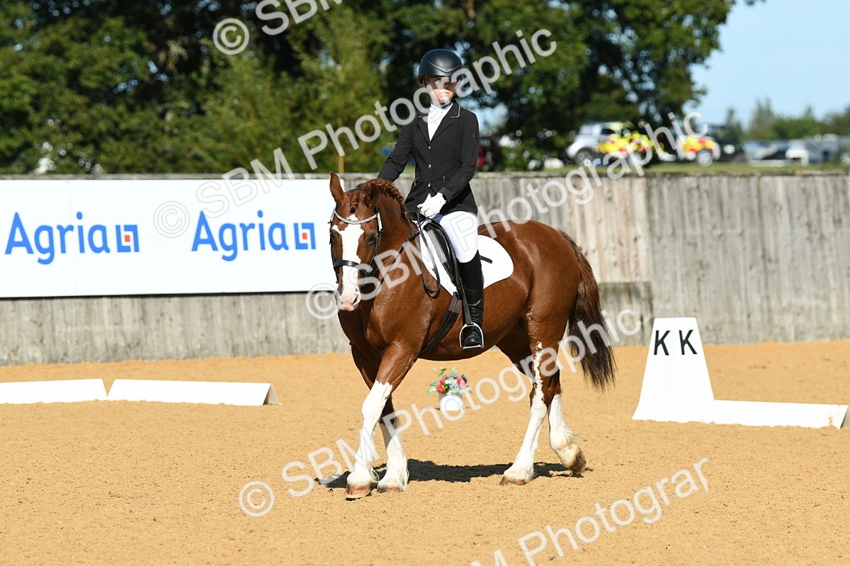 SBM_18040 - D4 - Small Tour Championship - Intro B