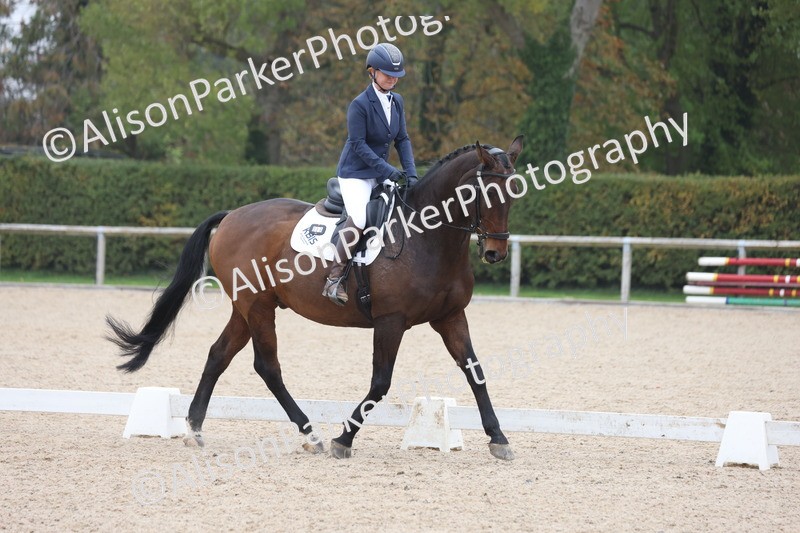 20251012-0621 - Class 5 - Elementary 5