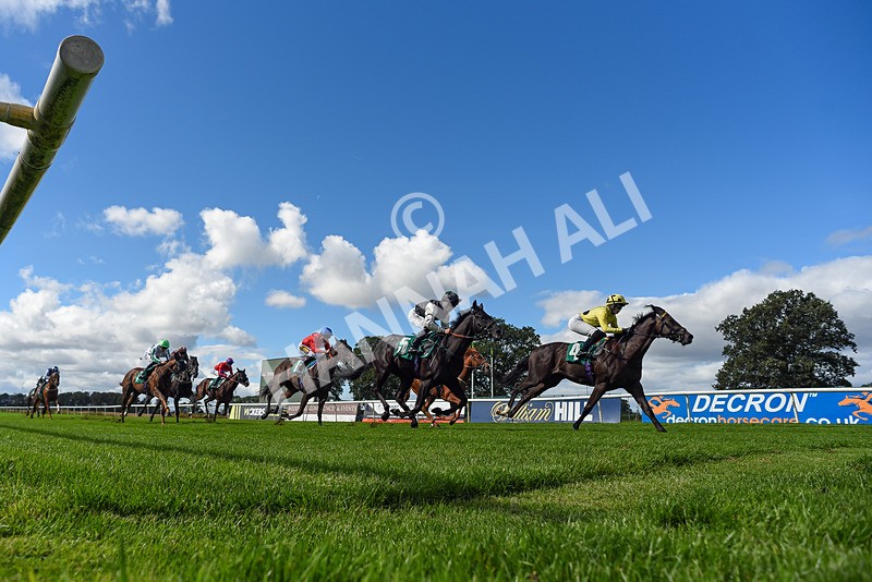 050926-Race 2-This Moment-7128 - Race 2 2.05pm JW4X4 Northallerton Nursery Handicap
