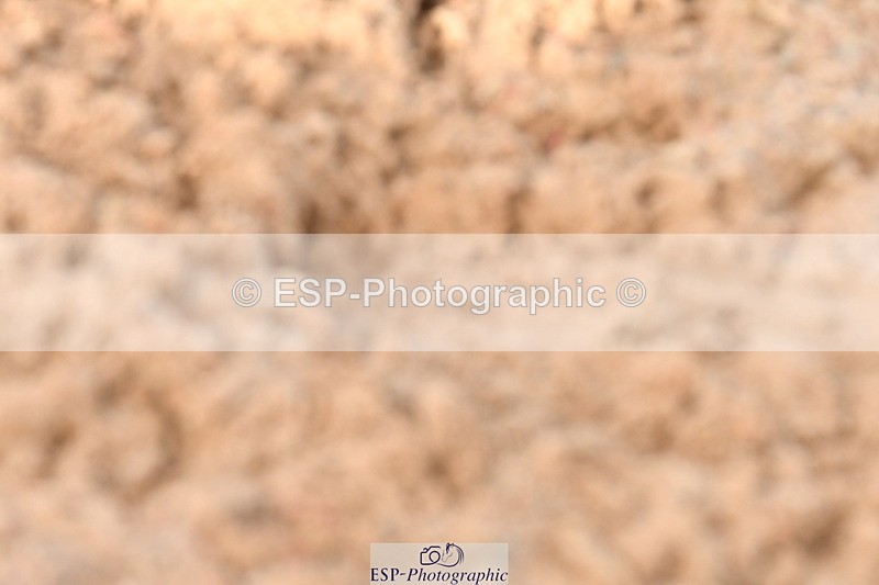 231104A-141344-00758 - Cls 18 FEI PSG