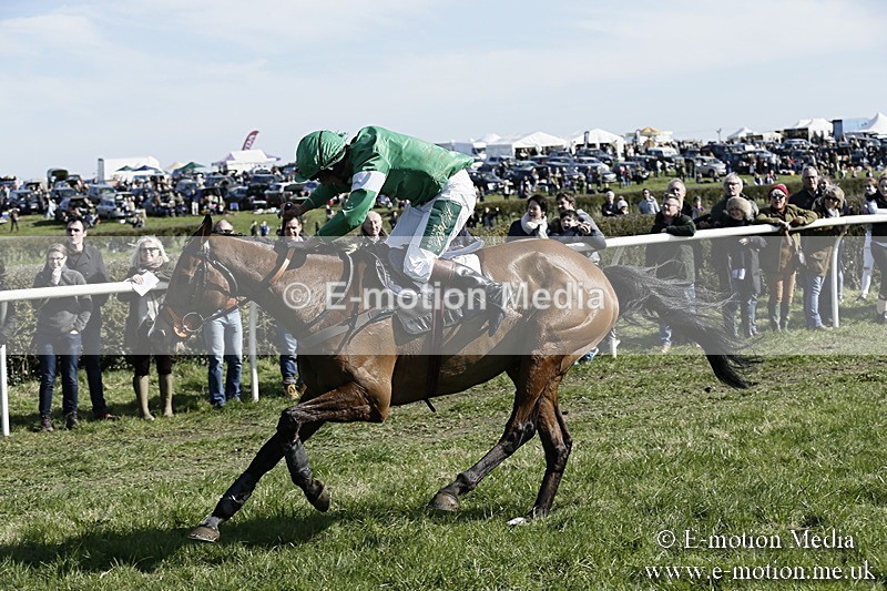 PtP 250317 234 - V.W.H. Hunt Point-to-Point Siddington 25/03/17