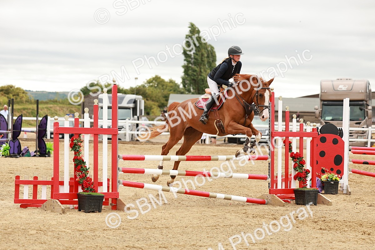 SBM_006408 - Class 1 - Senior British Novice - 90cm Open