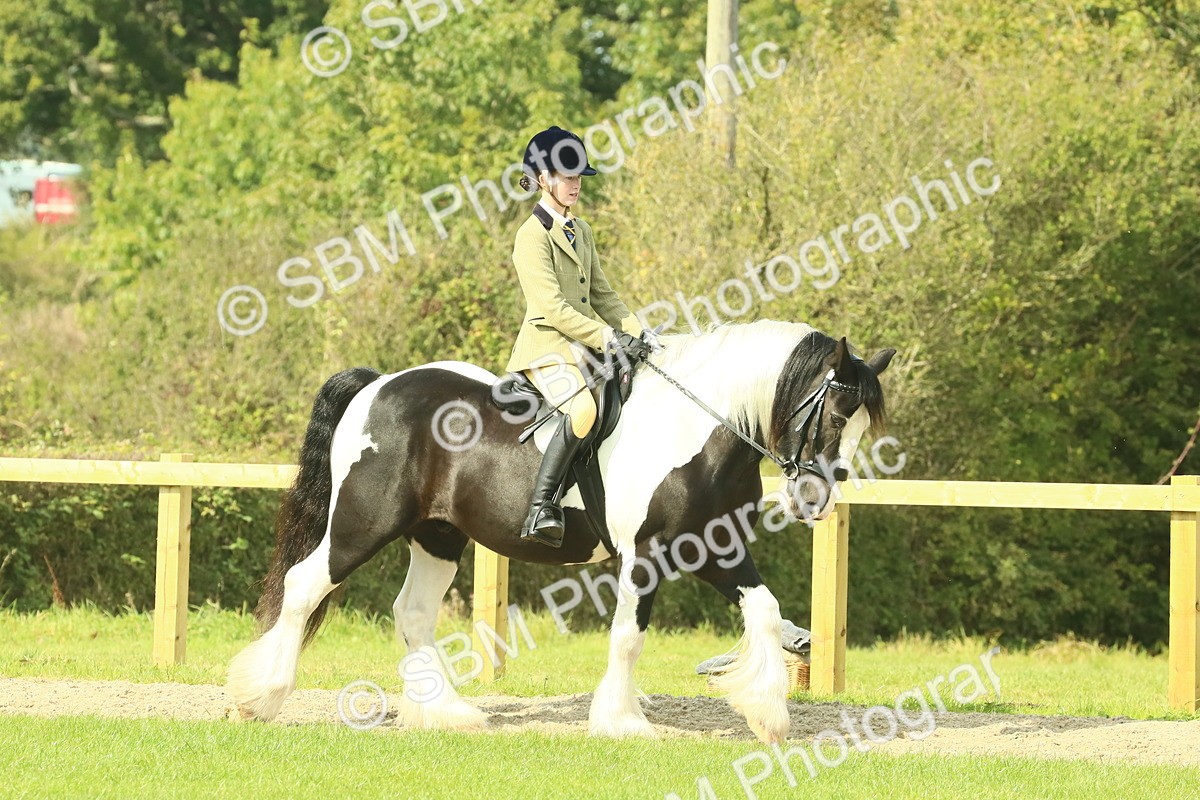 SBM_67394 - S56 - Coloured Pony Ridden