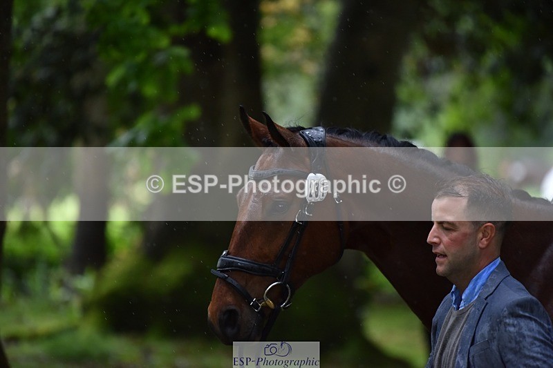 240522-162150-00862 - 231-DHI_ROCK_DANCER-Roberto_Scalisi