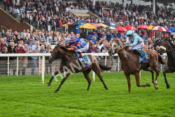 080924-Race 4-Zain Blue-9242 - Race 4 3.25pm PJ Staffing Group Handicap