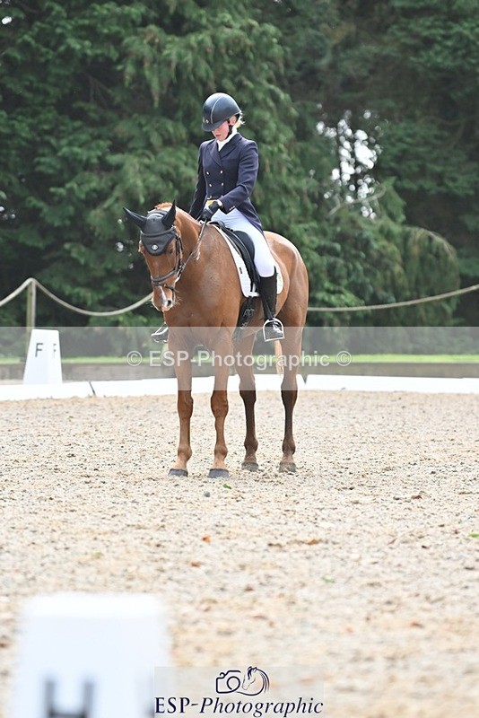 231019-122407-03099 - 113-RIVERSTOWN.ROYAL-Georgie.Frow-DR