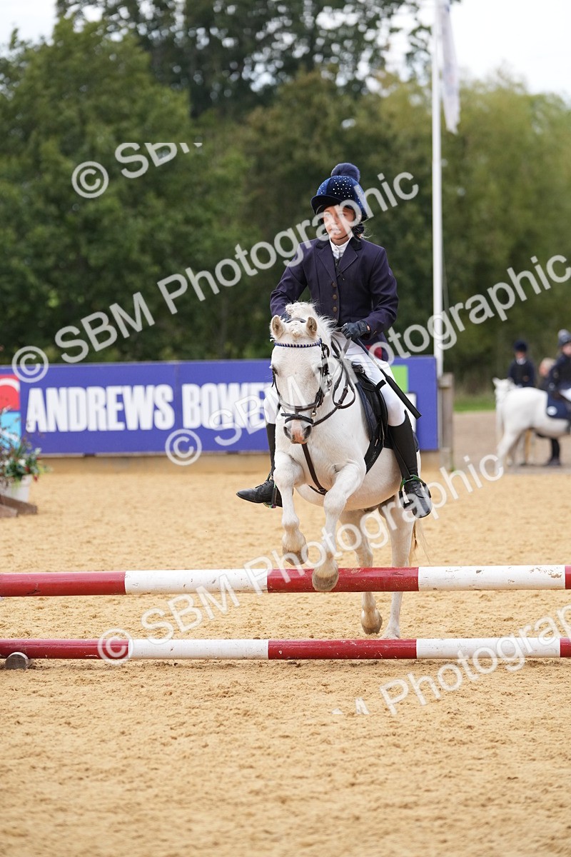 SBM_74817 - J4 - Mini Tour Junior Pony 45cm Championship