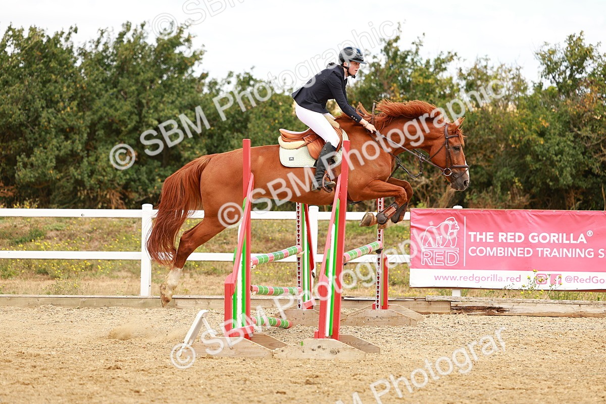 SBM_005620 - Class 2 - Senior British Novice - 90cm