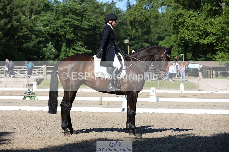 230526-091855-05037 - 353-THE_RIPPER-Bundy_Philpott-WEDTrotUp+DR