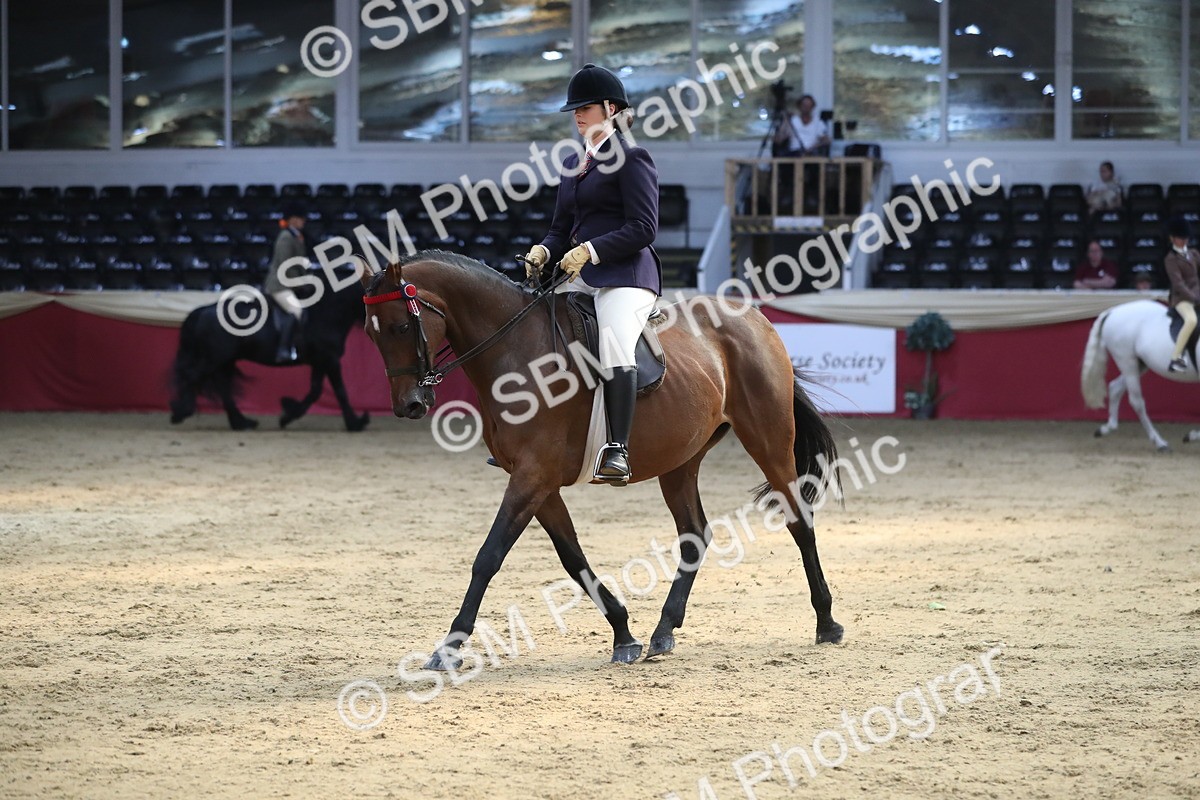 SBM_08341 - Class 11R Regional Ridden Veteran