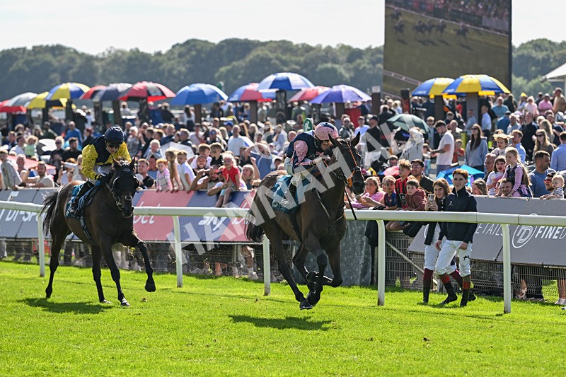 060926-Race 3-Moon Chime-7610 - Race 3 2.40pm Hanson Springs Stayers Handicap