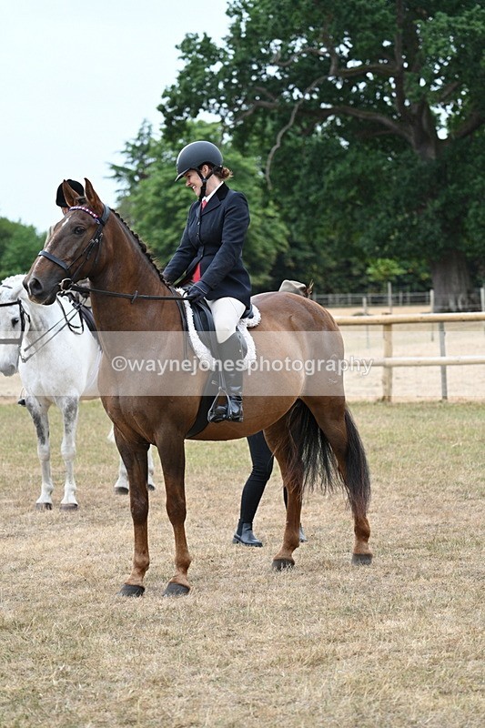 WJ7_0807 - Class 7 Riding Club Show Horse