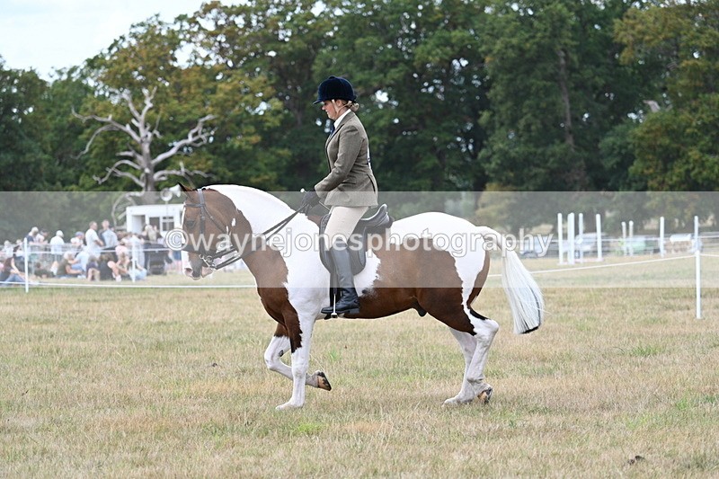 WJ7_4973 - Class 12 Ridden Cob