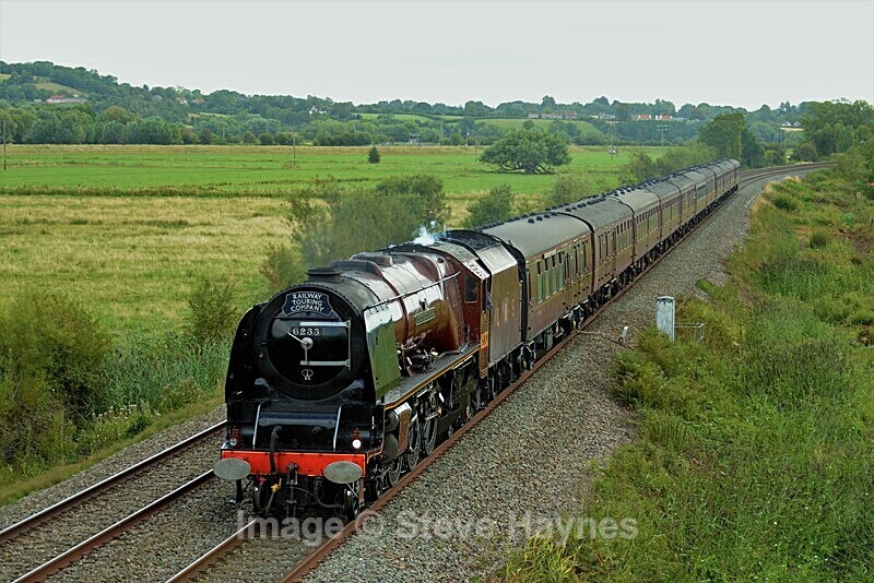 17th Aug 2019 - Curry Rivel (Oathe, Wick), Somerset