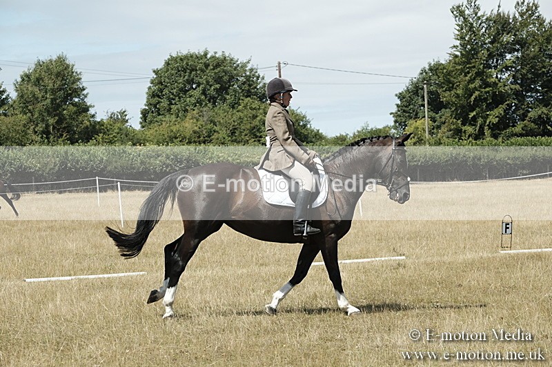 _PJP5865 - Dressage Classes BVRC Show 2018
