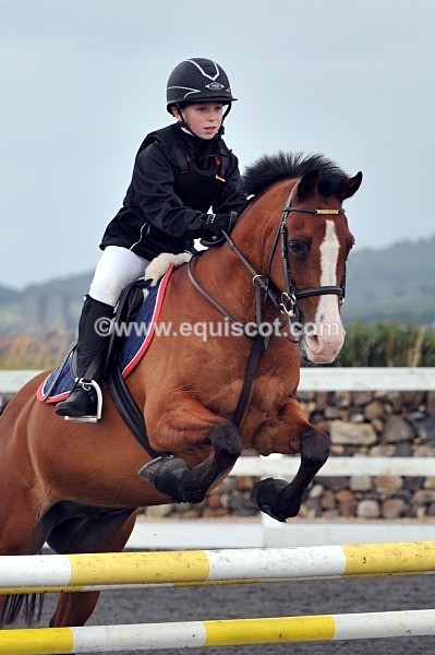 DSC_5721 crop - MARION WILSON