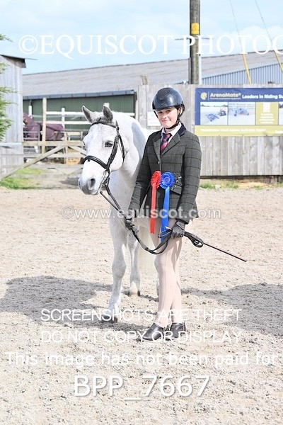 BPP_7667 - RING 1  (RIDDEN HORSES / IN HAND / VETERAN ETC)