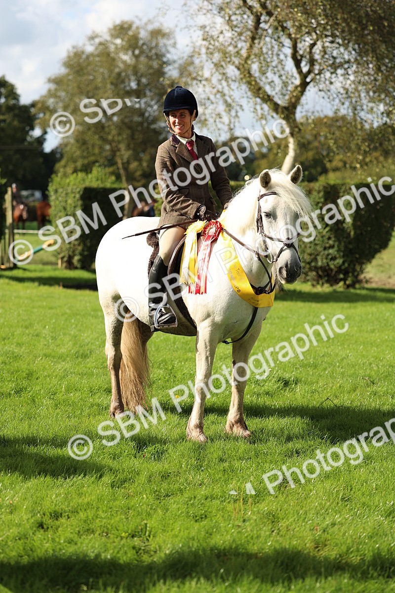 SBM_46429 - Working Hunter Pony Supreme Championship