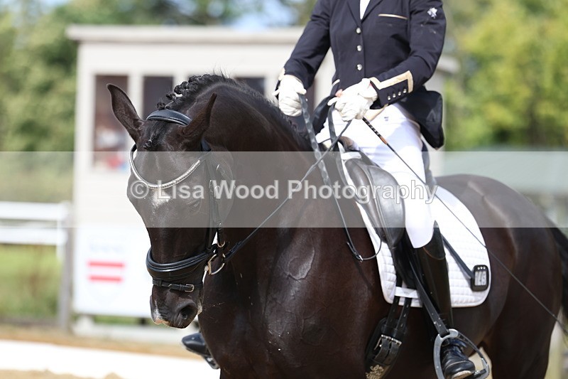 3E7A3888 - Class 8: Novice 6 Section A Championship