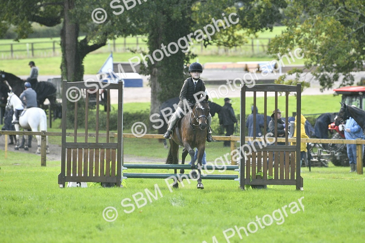 SBM_37173 - S31 - Novice & Newcomer Working Hunter Pony