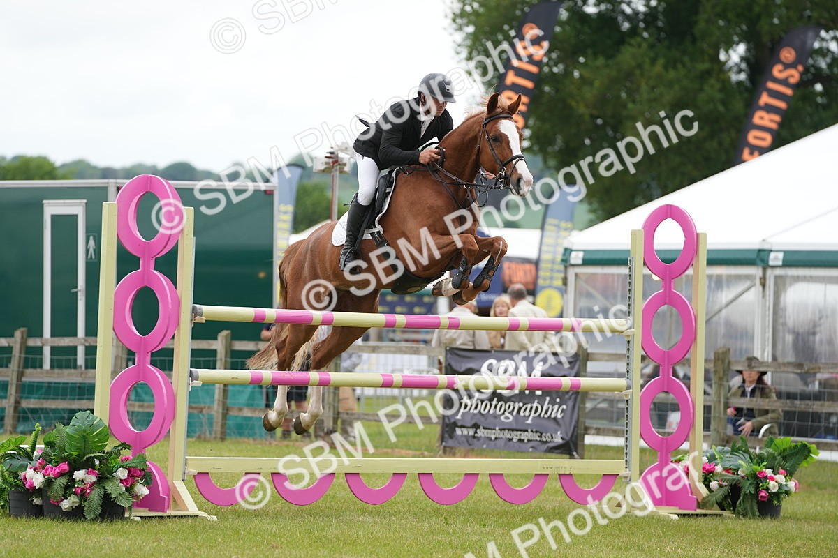 SBM_03222 - Class 201 - British Horse Feeds Speedi Beet Horse of the Year Show Grade  C