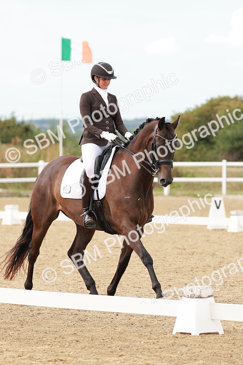 SBM_002369 - Class 11 - Medium 6