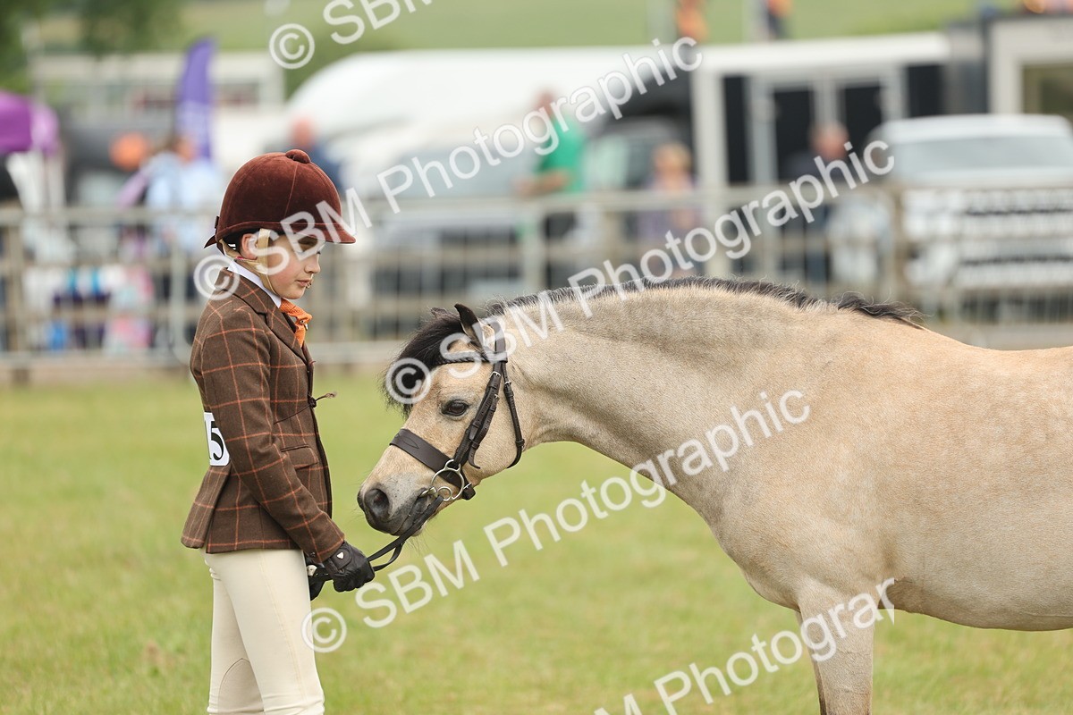 SBM_07117 - Class 76-77 - Ridden M&M Welsh Ponies