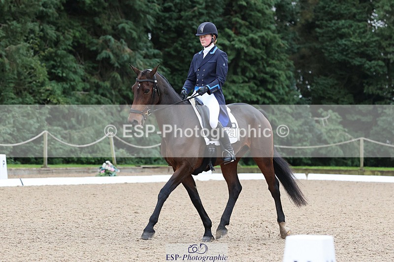 241024-092803-01287 - 205-Alderney.Street-KYTANO