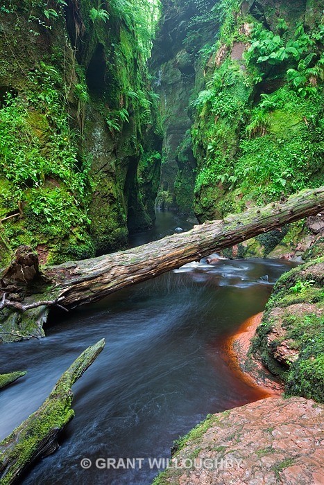 Finnich Gorge 2 - Woods Trees Gorges and Waterfalls