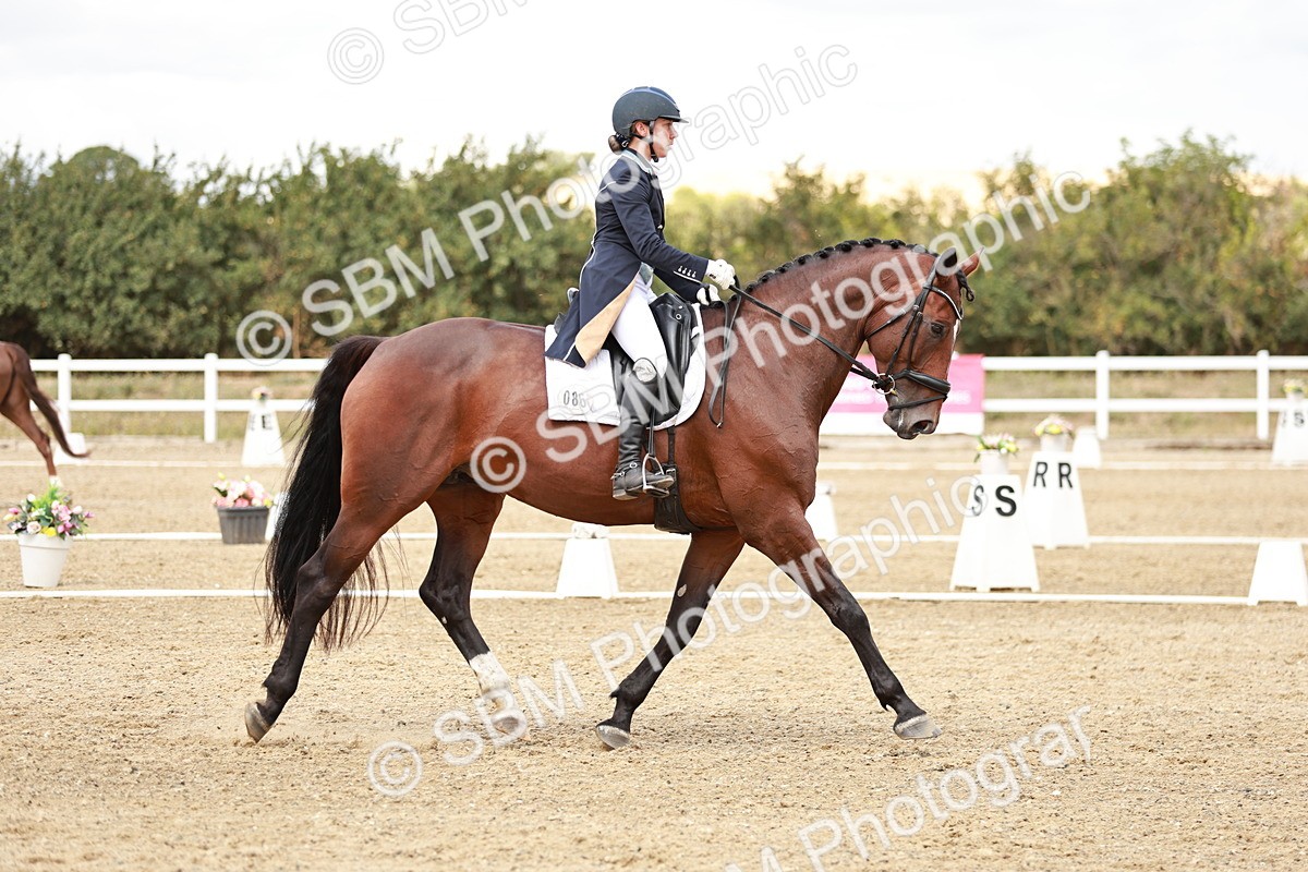 SBM_005604 - Class 5 - FEI PSG - 13.54.14.58