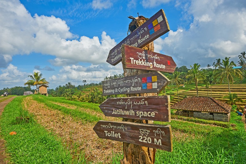 0625_58 - Bali