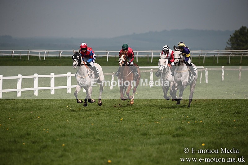 PtP 210418 254 - South & West Wilts Point-to-Point Larkhill 21/04/18