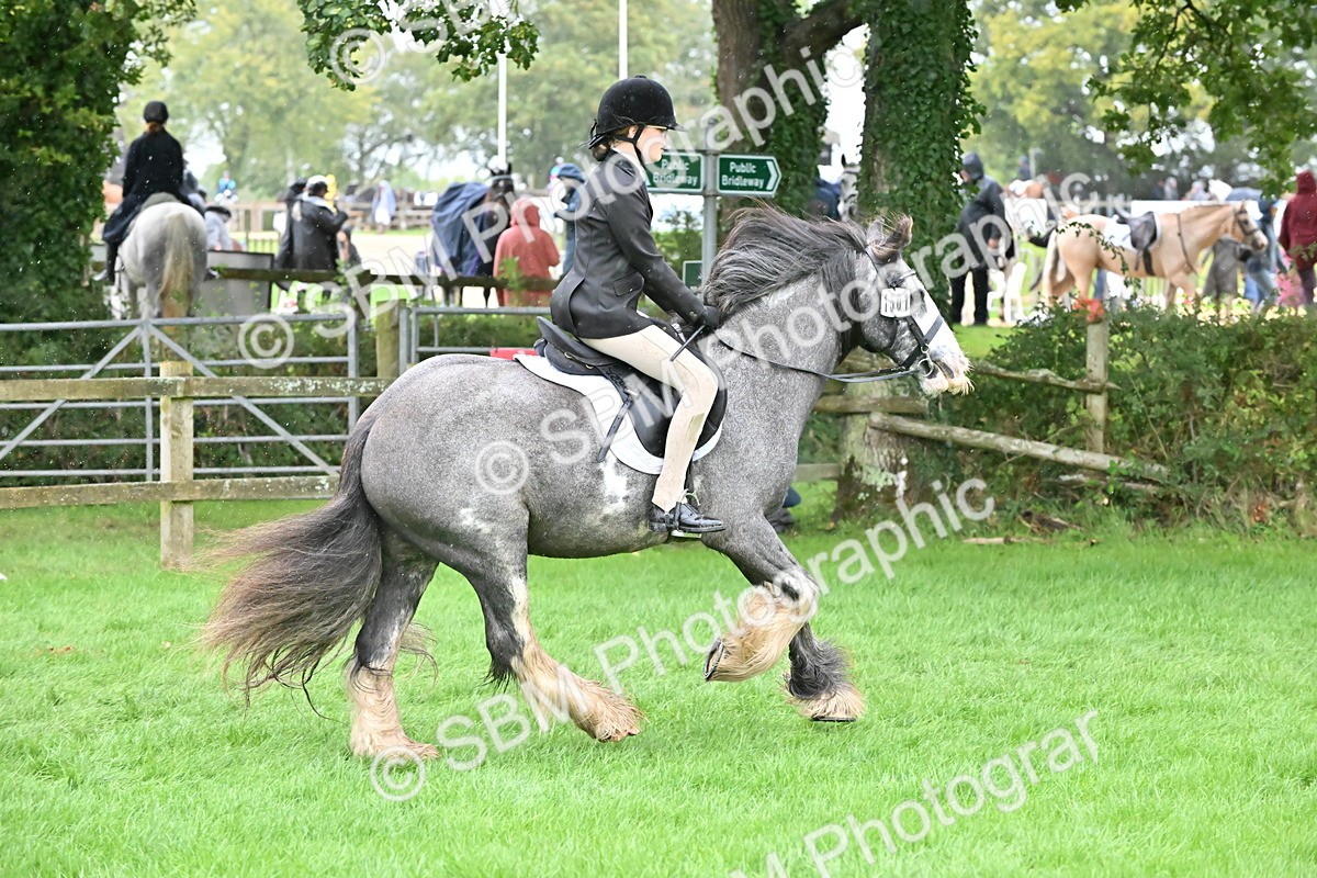 SBM_42980 - S12 - Family Horse & Pony