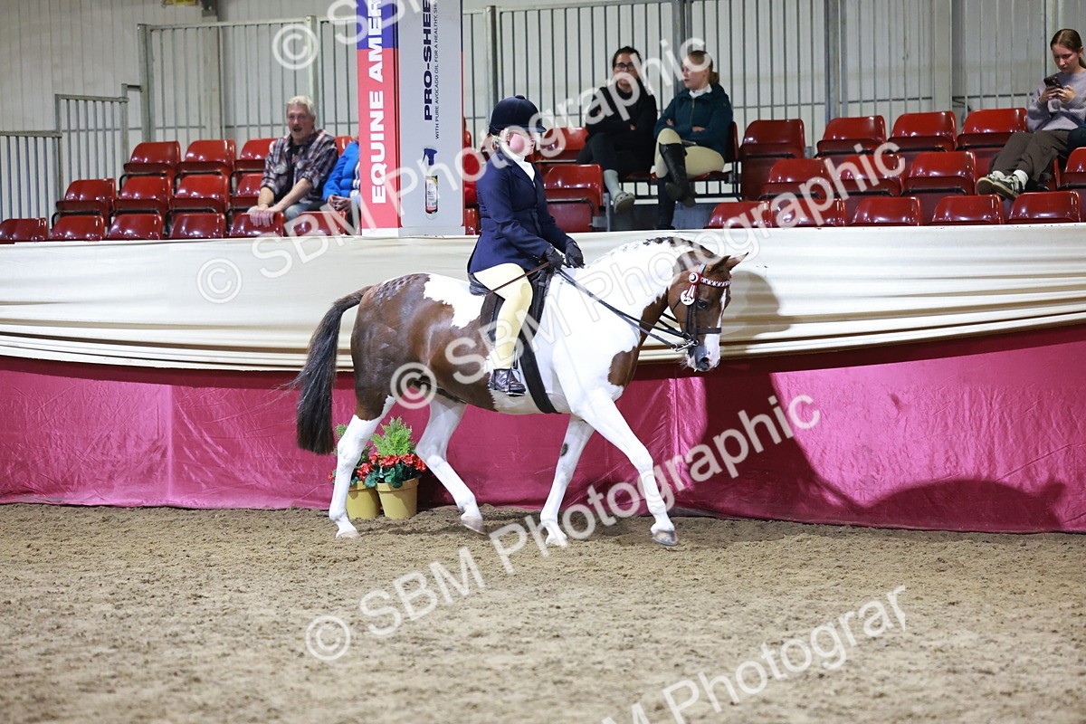 SBM_21212 - Class R - Veteran Champ