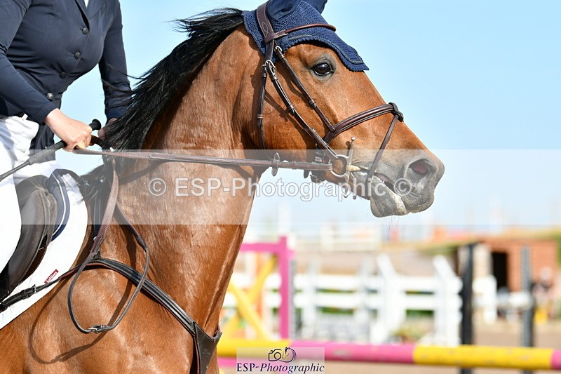 240511A-181208-16162 - Cls 31 Newcomers