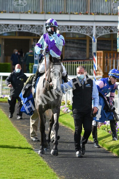 yr22052021r7-52 - Race 7 5.25pm Hudson Quarter York Palace Capital Stakes - Gentleman Amateur Riders Race