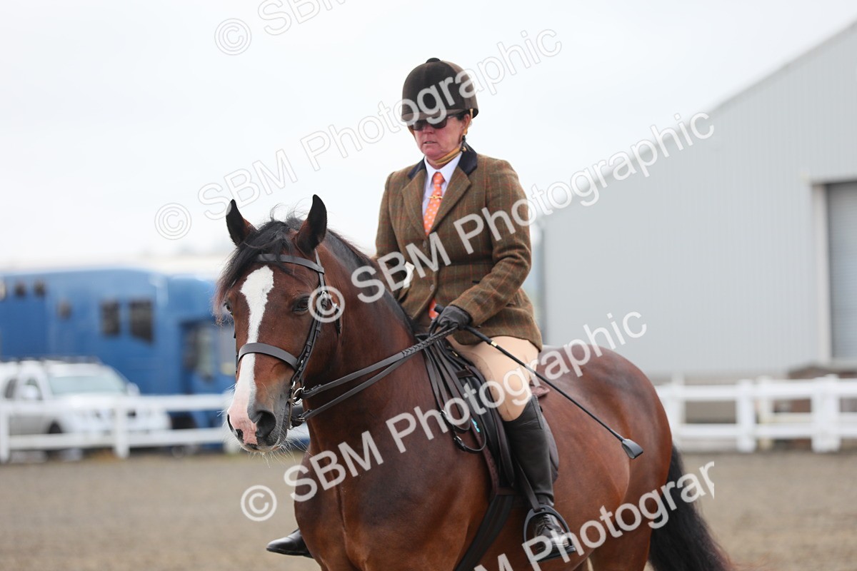 SBM_21382 - Class 805 - Ridden Veteran Horse