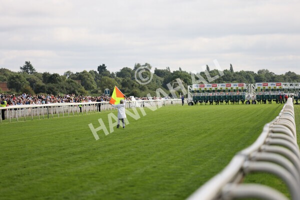 yr18082021r5-38 - Race 5 4.10pm Sky Bet Stakes