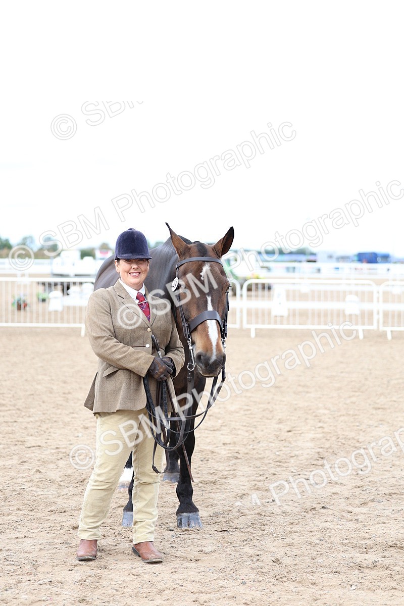 SBM_05756 - Class 28 - IH Veteran Horse
