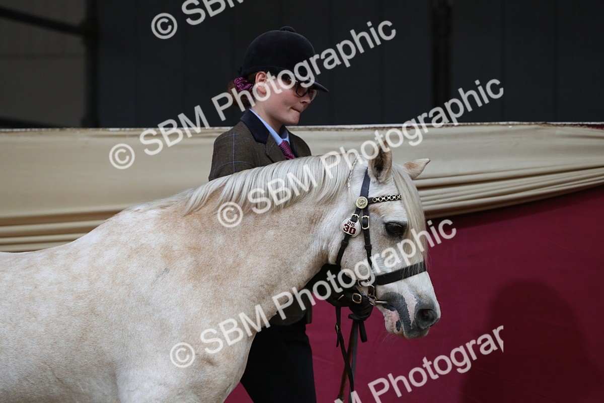 SBM_15102 - Class 501 M&M IH Supreme Final